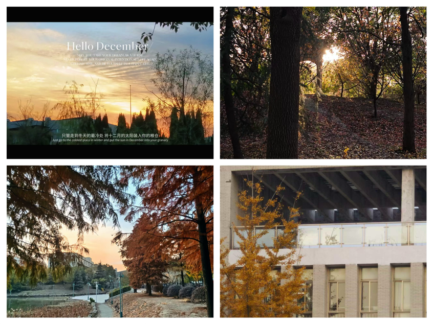 摄影社团“校园秋景”活动收官，优秀作品尽显诗意与热爱